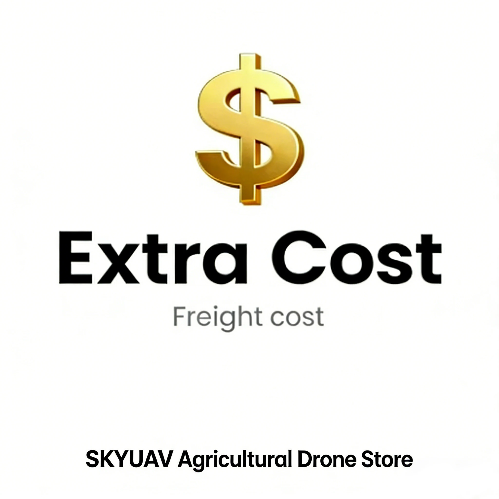 Additional Pay on Your Order & Extra Fees & Shipping cost / Postage & Difference Custom-made-Charge