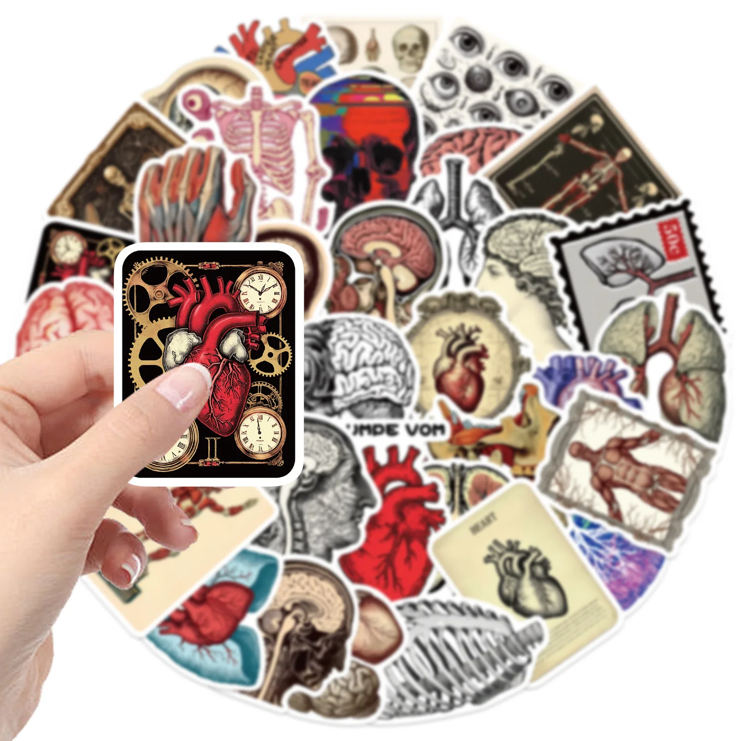 50PCS Retro Scientific Anatomy Sticker Physiology Anatomy Luggage Laptop Cars PVC Guitar Coffee Skateboard Notebook Decals