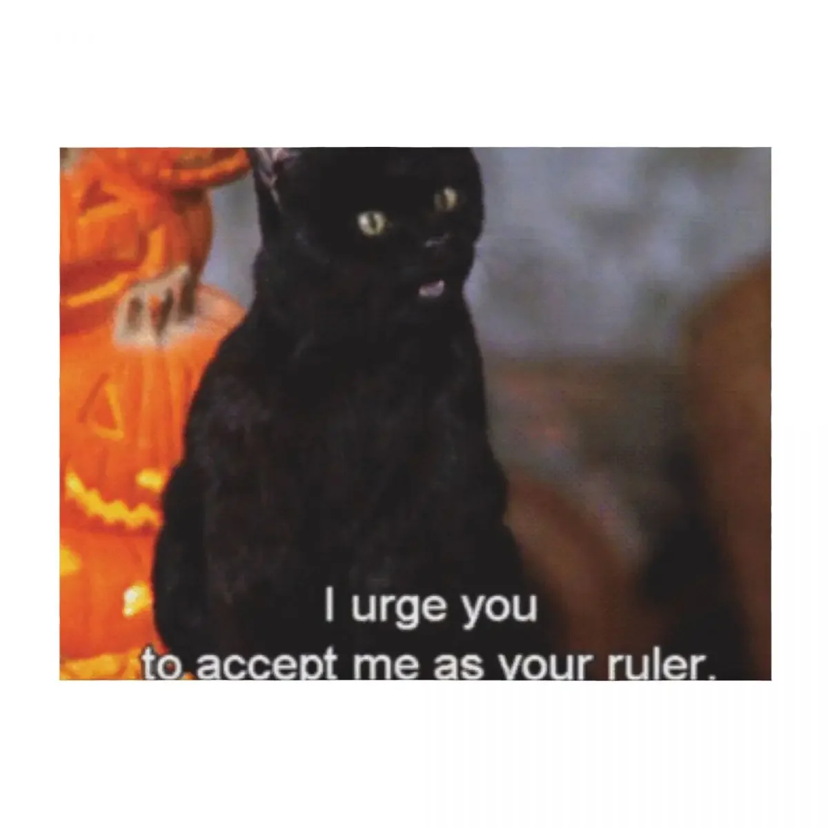 

Bow to Salem Throw Blanket Baby Thermal Hairys anime Blankets