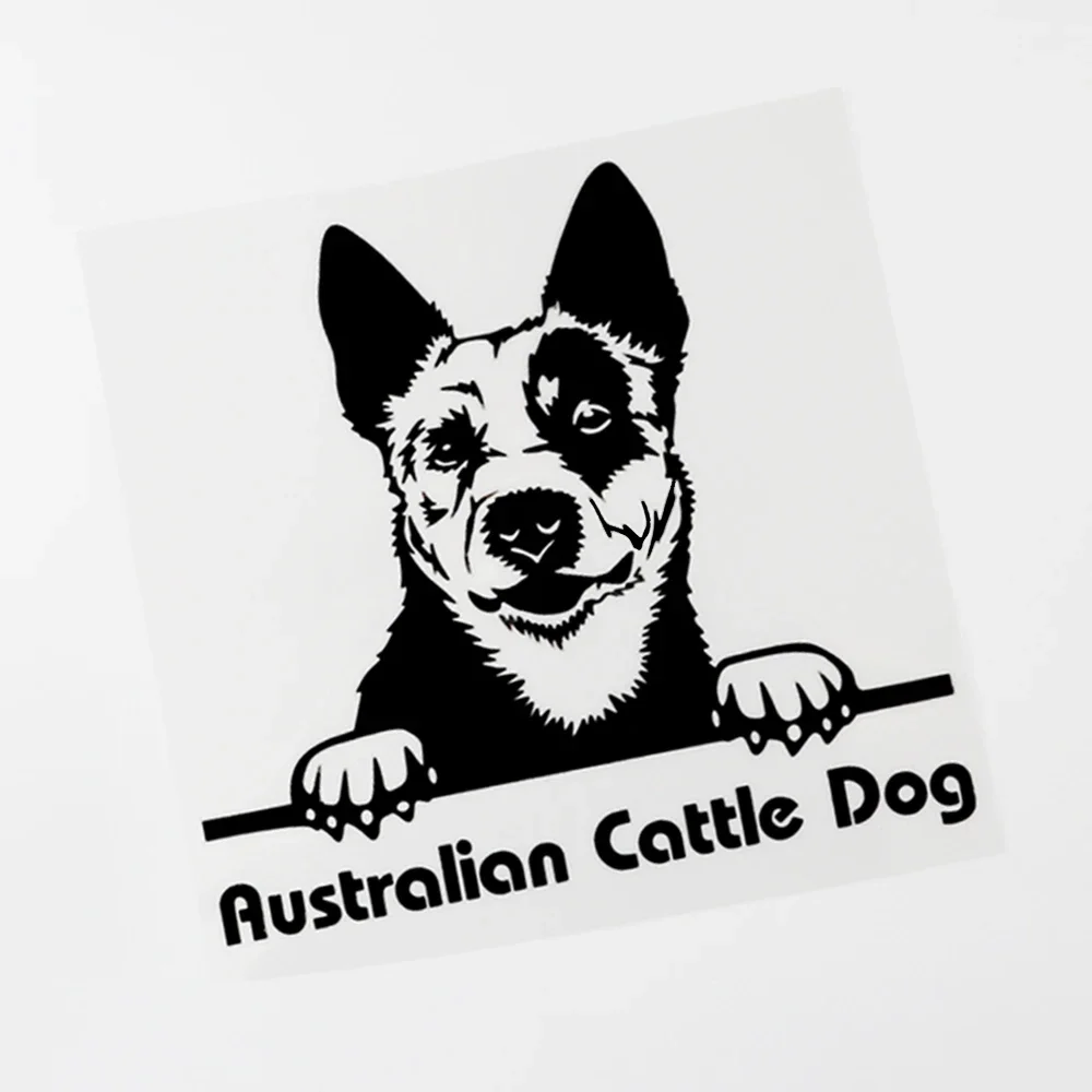 

OFK Australian Cattle Dog Peeking Pvc Car Sticker Decal Black/Silver16CM×15CM