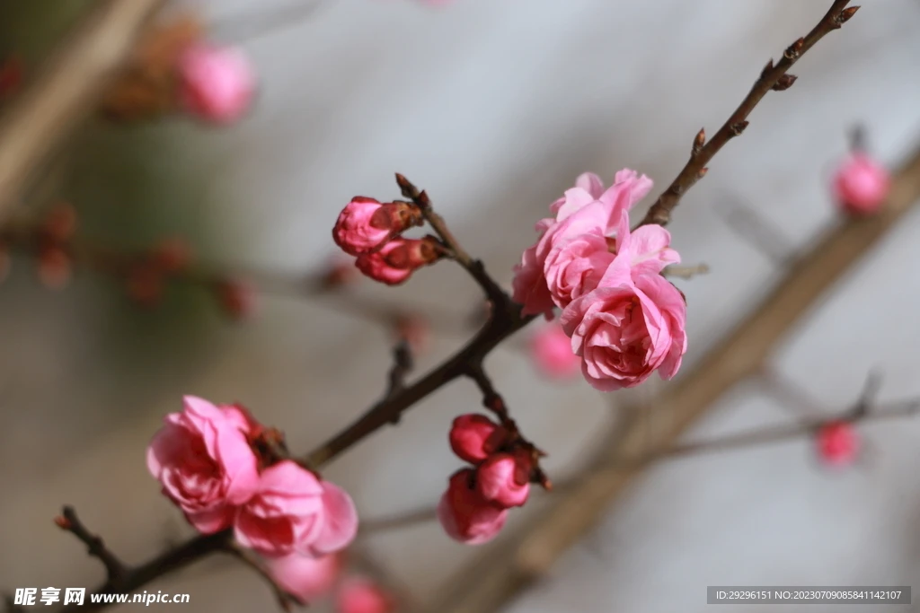 ل MJX R/C Hyper Go H12Y H12Y + 1/12 RC الزاحف/الشاحنات قطع الغيار الأصلية المحور الأمامي الفرعي/المحور الخلفي الفرعي #1