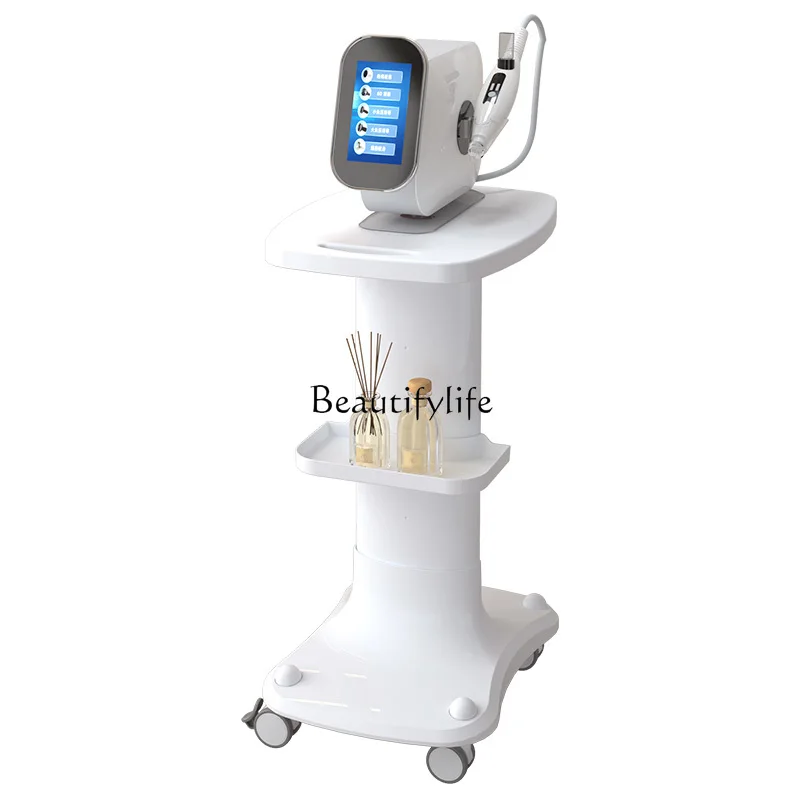 

Beauty salon special instrument cart mobile beauty instrument rack