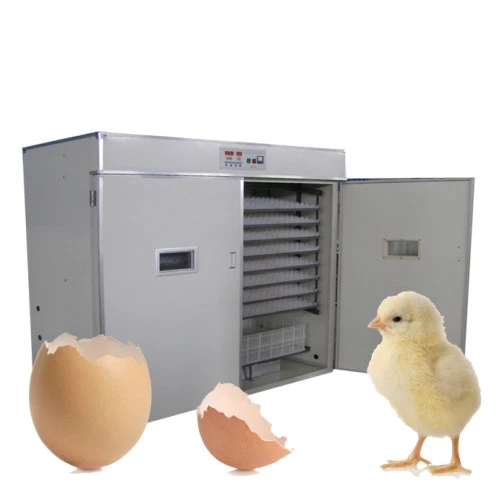 

Good Quality Full Automatic 2640 Eggs Incubator For Chicken, Quail, Duck Eggs