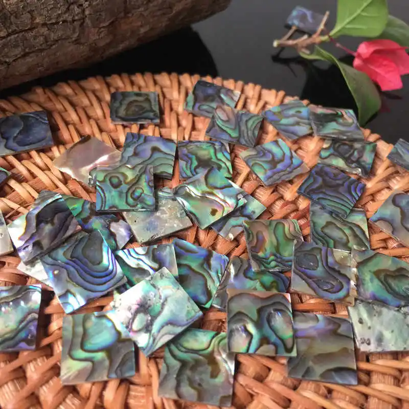 10pcs Natural Abalone Shell Chips Mother of Pearl Fragments DIY Lacquer Painting Handicraft Ornament Making Accessories 13mm