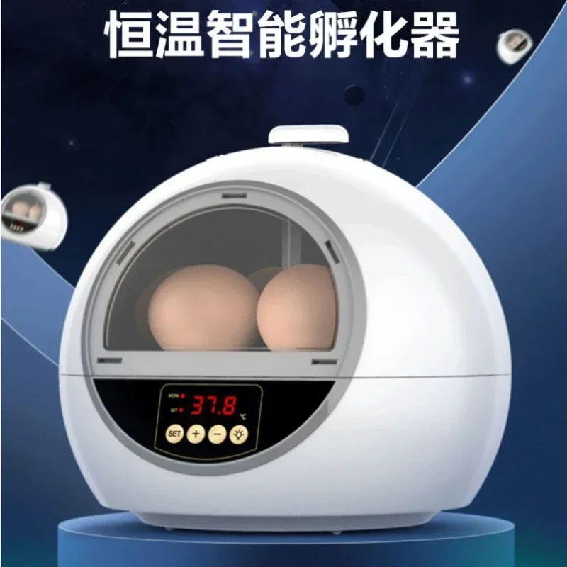 

Egg Incubator Small Rutin Chicken Water Bed Incubator Small Household Type