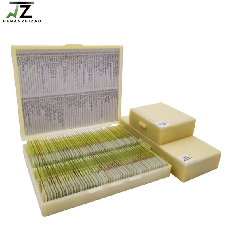 200 Pieces Plant Animal Insect and Histology Preparations Teaching Microscope Prepared Slides