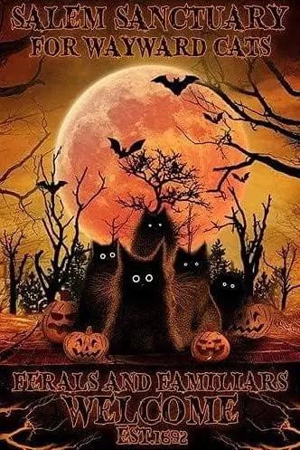 Sanctuary For Wayward Cats Halloween ​cat Pumpkin Tin Sign Retro Style Miller Beer Bar Den Halloween Painting Metal  , Orange