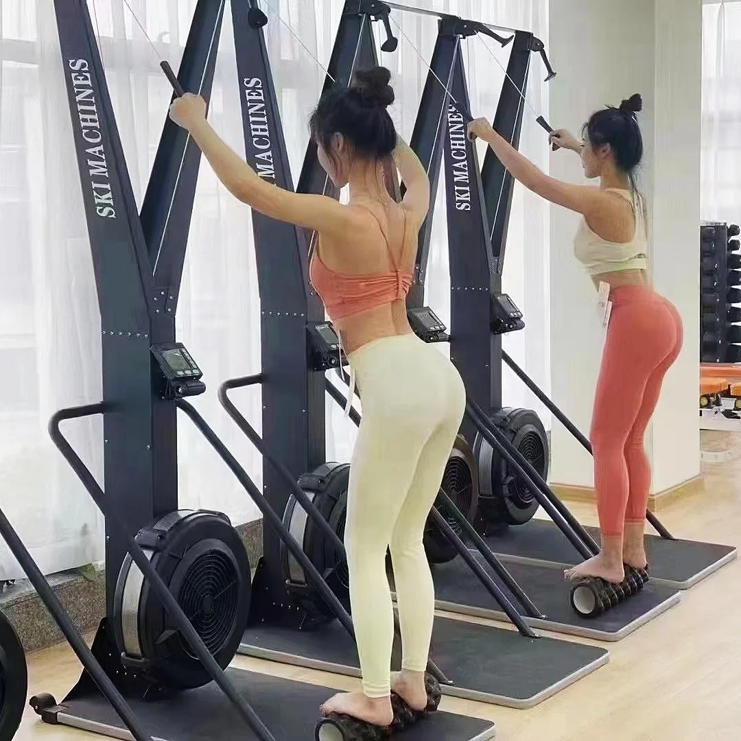 YL-AS004 Ski Erg Fa… - image