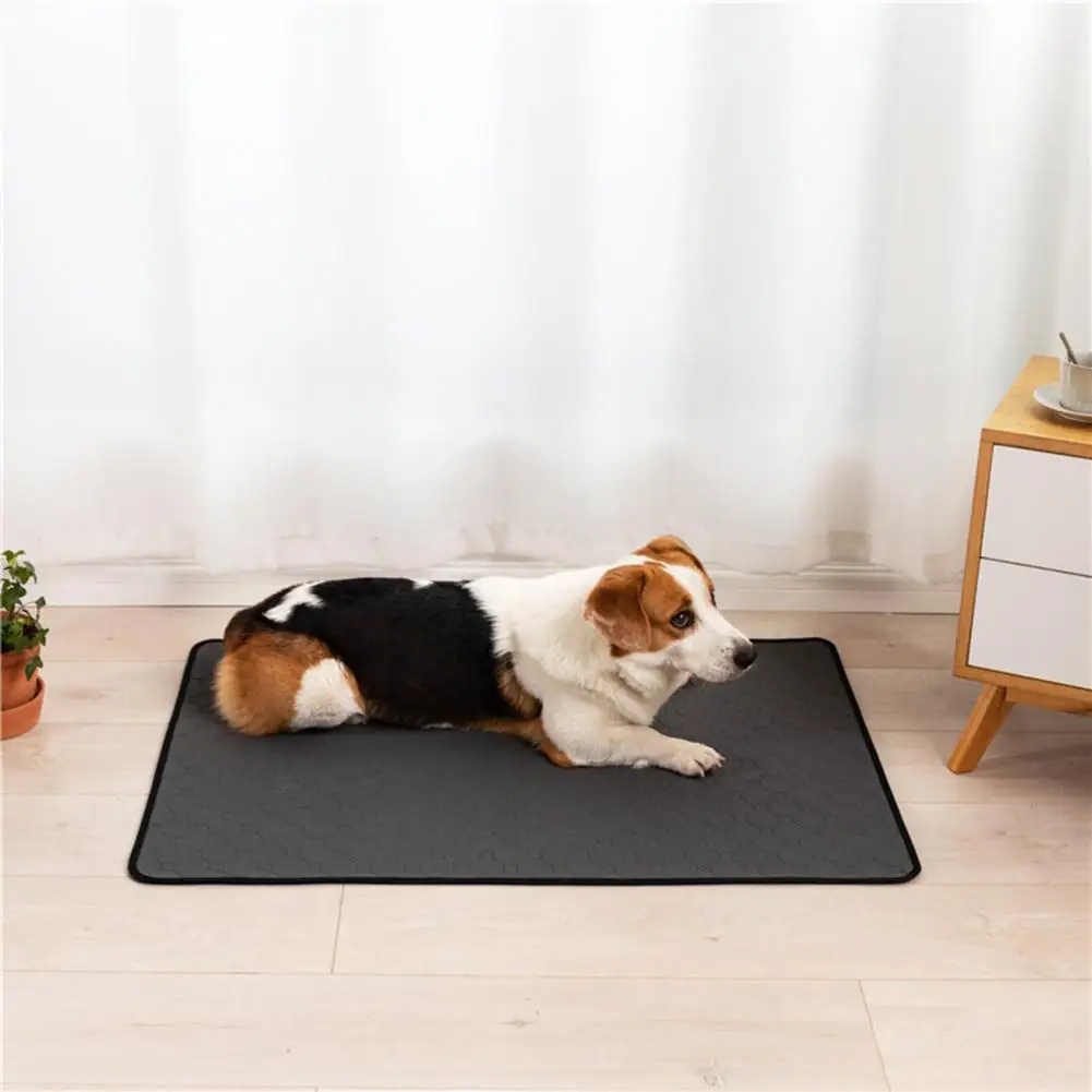 Reusable Pet Pee Pads Washable Dog Pee Pads Reusable Puppy Training Pads Absorbent Leakproof Non-slip Potty for Floor Couch Use