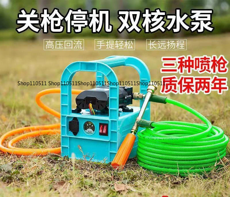 12V 220V High Pressure Electric Water Pump, Rechargeable Sprayer Pump for Agriculture and Car Washing