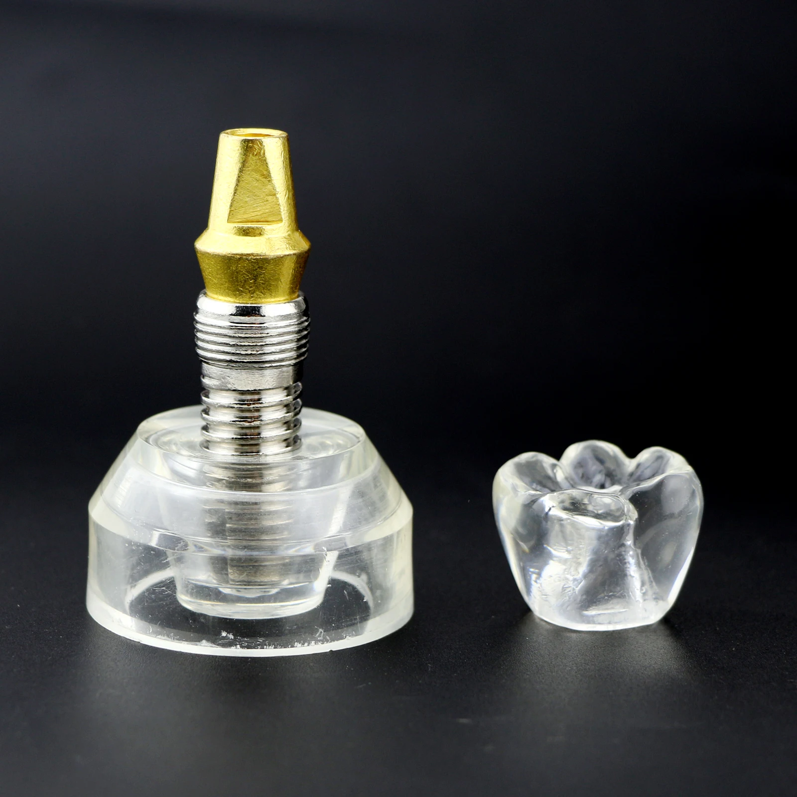 

1Pc Dental Single Tooth Crystal Implant Model Demonstration Teeth Study Model Crystal Crown Dentures Dental Clinic Teaching