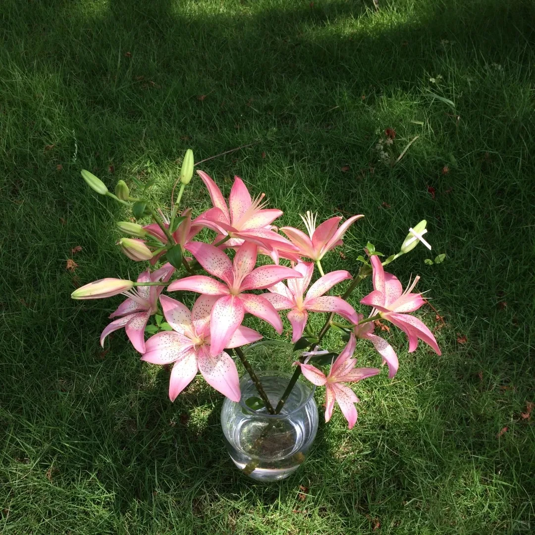 

Factory Price 4000W Laser Ice Platinum Triple Wavelength 755 808 1064 Ice Diode Laser effective Hair Removal Machine