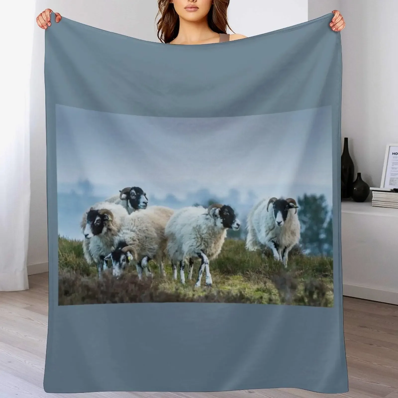 Swaledale Sheep on Stanton Moor Throw Blanket blankets ands Sofas wednesday Blankets