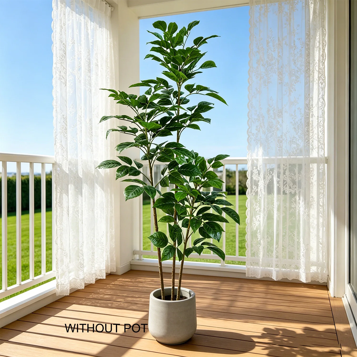 105-240cm/7.8ft Cabang Pohon H - Ficus Lyrata Tree ulasan dan harga