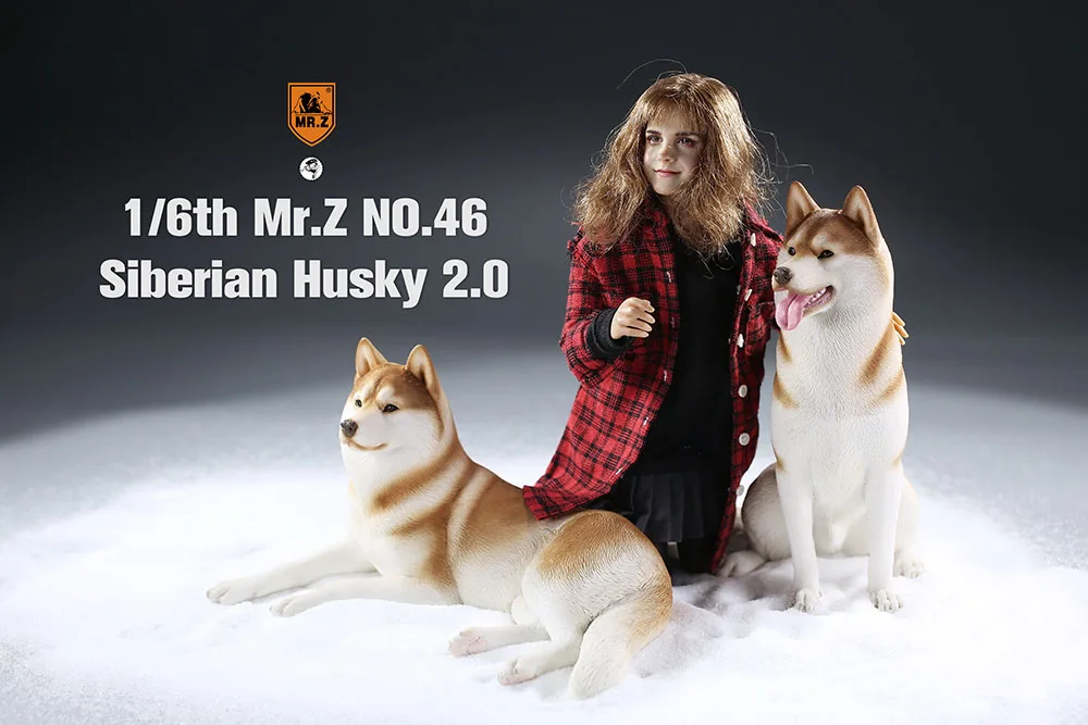 Mr. Z MRZ046 1/6 Scale Soldier Scene Acssories Siberian Husky 2.0 Simulated Animal Model for 12