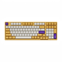 Akko 3098S Mechanical Keyboard Rainbow Monochrome ASA 98-Key USB Type-C Wired Gaming Keyboard for Office Home Gaming