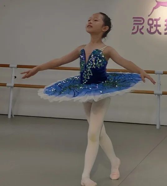 Fato de balé infantil e adulto, panqueca tutu do Lago dos Cisnes, vestido profissional para menina, apresentação de bailarina