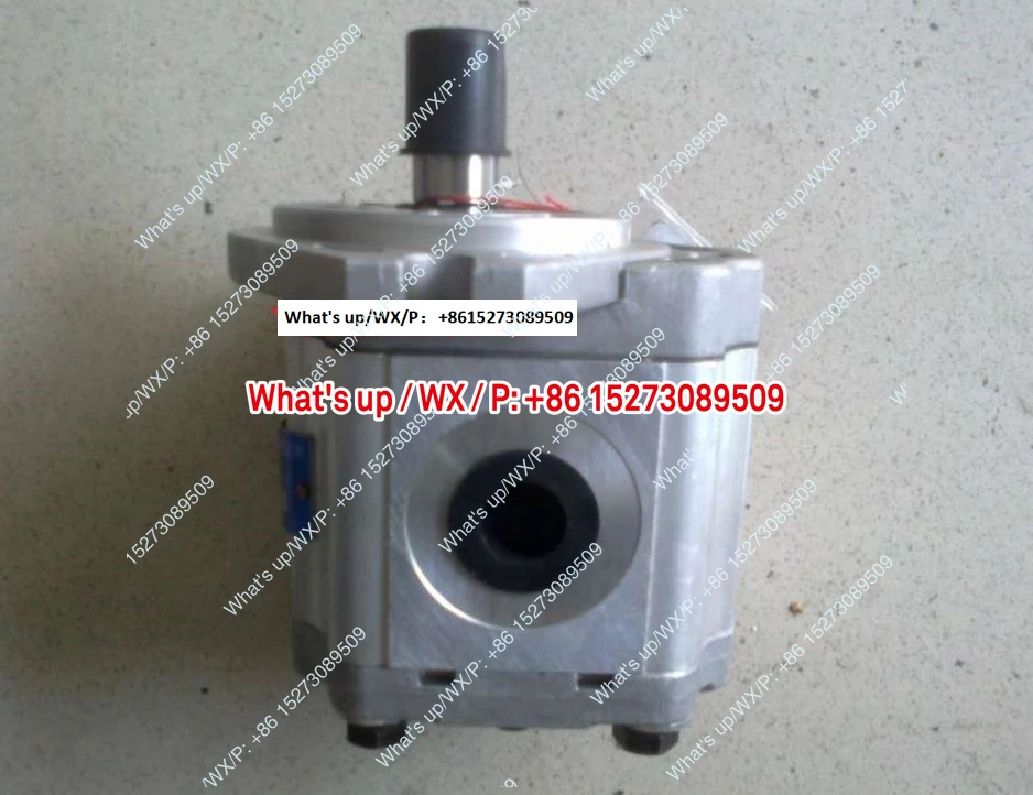 Gear Pump 26004-LZB 26001-RZK 26002-RZB 26004-RZD 26013-RZC Spot