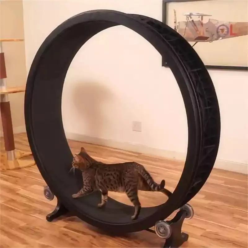 Silent Cat Exercise Wheel Pet Treadmill Running Roller Indoor Kitten Fitness Toy Cat Climbing Frame Accessory