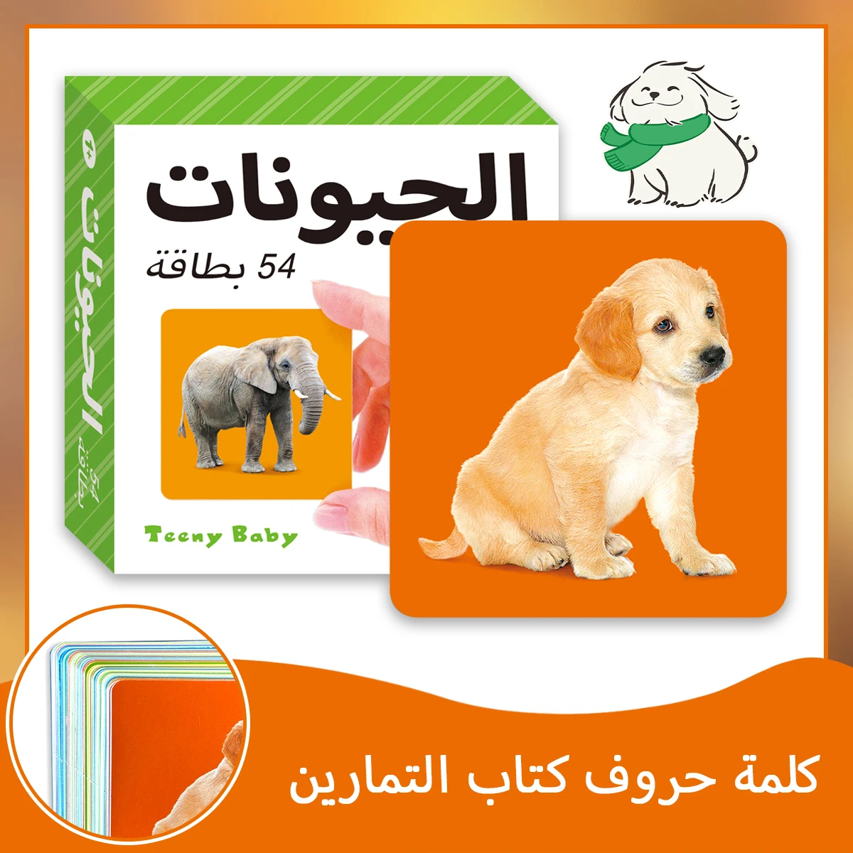 Tiny Baby early education card, Arabic cognition, elephant dog cute picture, rounded corner design, a variety of choices