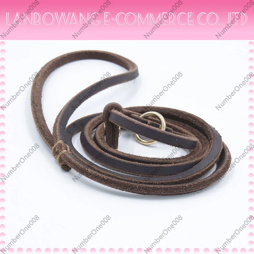 Real Leather Dog Slip Lead, No-Pull Cinch Training Leash for Small Dogs Cats, Adjustable Pet Collar Leash for Puppy Walking