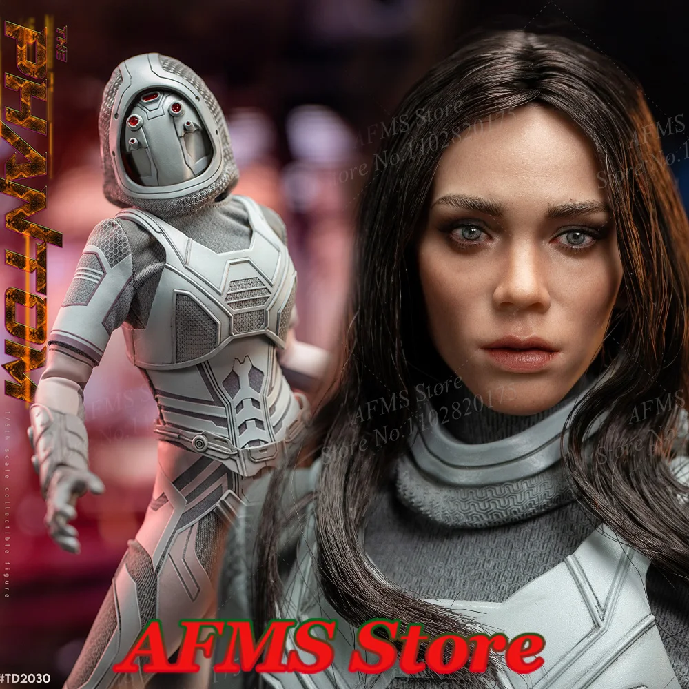 Thunder Toys TD2030 1/6 Scale Collectible Figure Ant-Man The Wasp Phantom Full Set 12Inch Women Soldier Action Figure Model