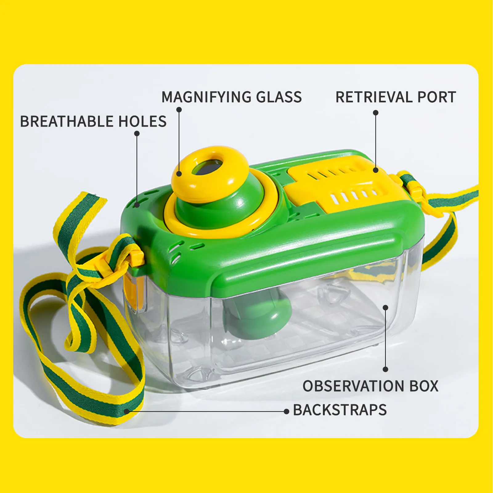 Color Box Packaging Outdoor Toy Adventure Insect Observation Box, Rubber Watch Observation Clip, Magnifying Glass, Puzzle Early