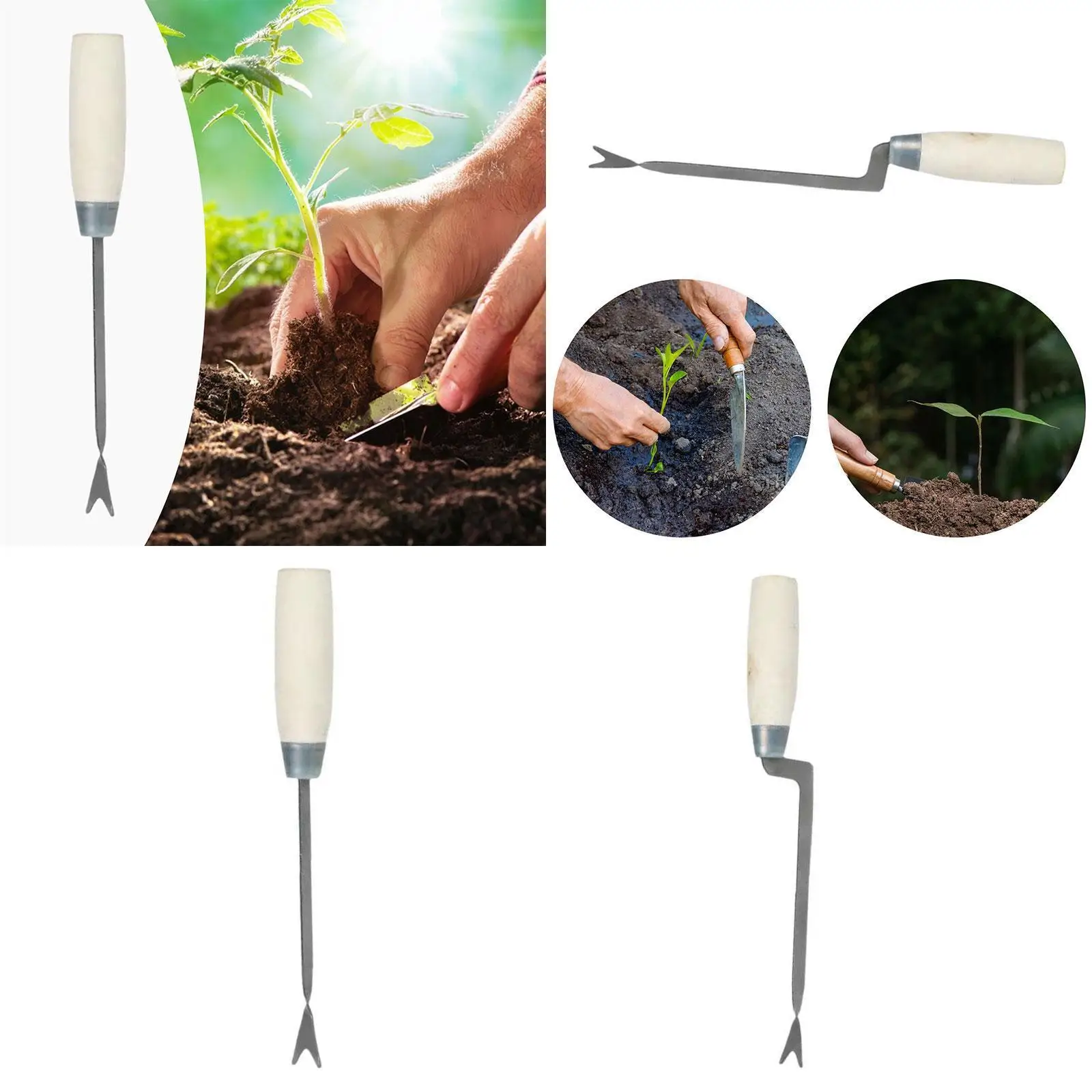 Seedling Transplanter Planter Comfortable Grip Multifunctional Gardening Tool for Sweet Potatoes Green Onion Greenhouse