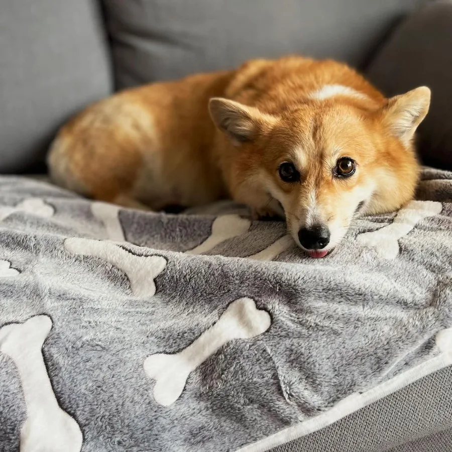 1 упаковка, 3 одеяла для щенков, супермягкий теплый коврик для сна, серое милое одеяло с принтом, пушистое флисовое одеяло для домашних животных, фланелевые одеяла для собак