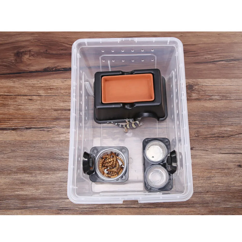 1Pcs Double Grid Pet Reptile Feeder Thick Clear Glass Bowl Multi Functional Feeding Cup Food Water Holder for Lizard Turtle