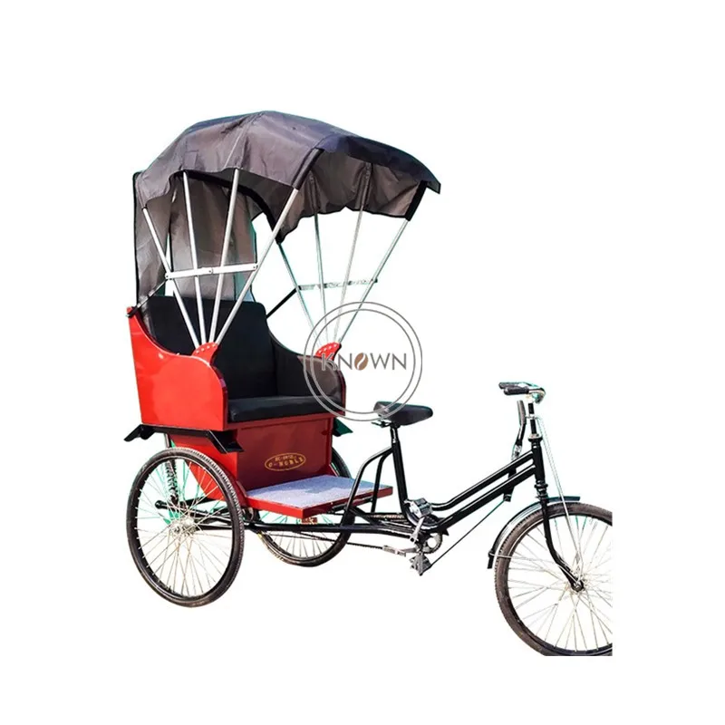 Adult Passenger Cargo Carrier Bike Tourist Passenger Car Human Power Rickshaw Tricycle with Pedals