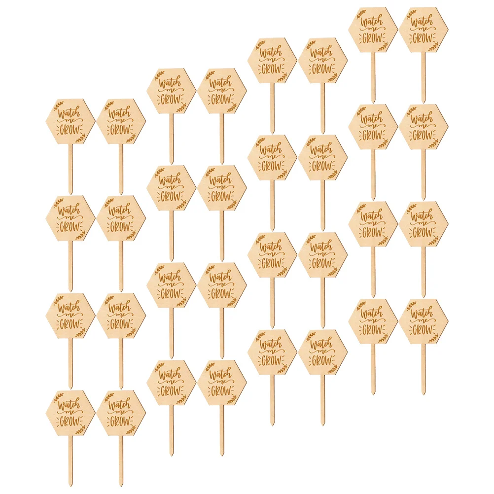 

40Pcs Wood Garden Plant Labels Durable Pointed Tags Easy Insert Plant Markers for Potted Plants Flower Garden Lawn Decoration