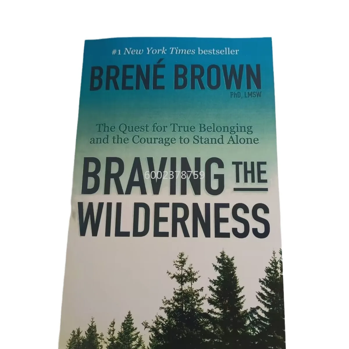 속속 영어 버전 BravingWilderness Courage