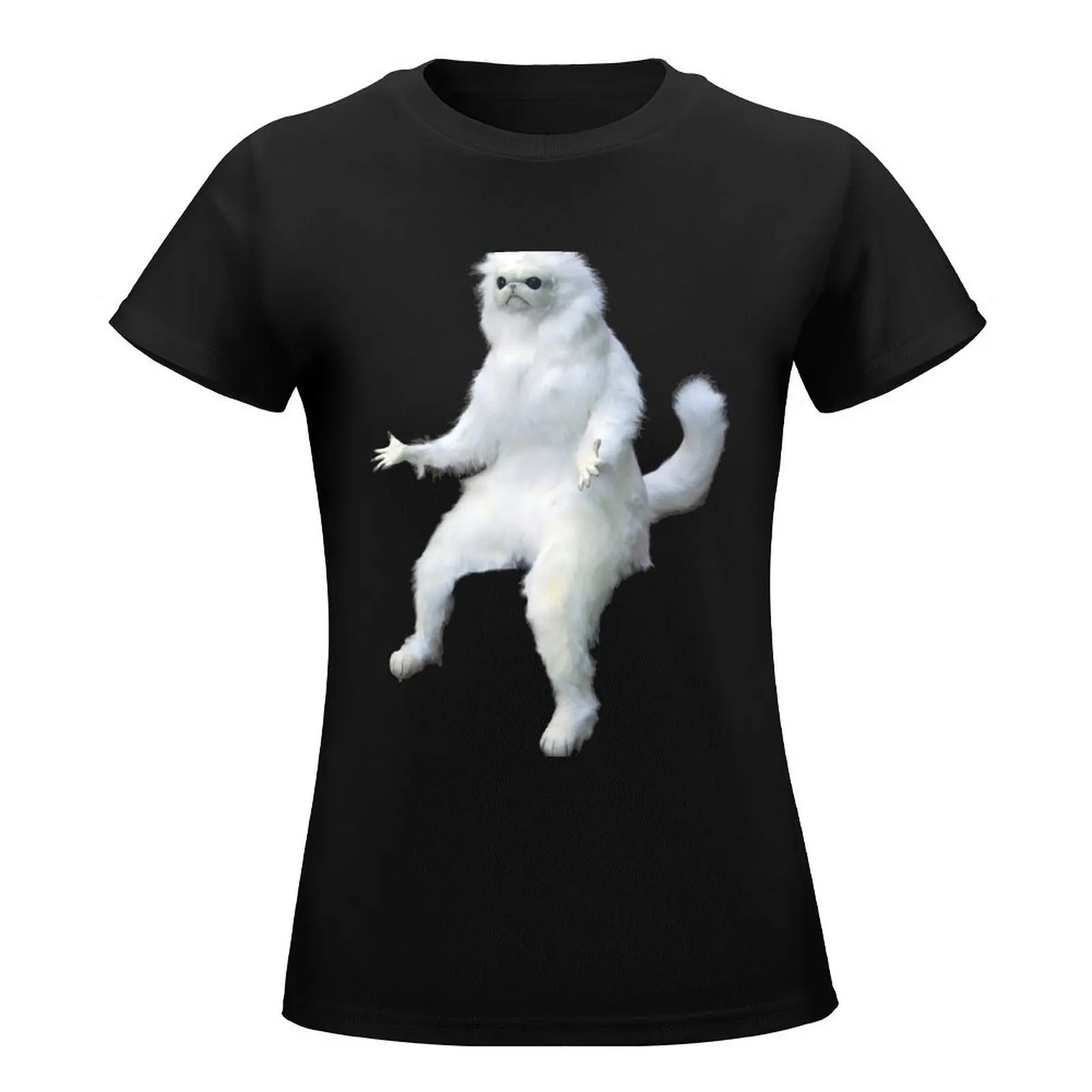 Perzische Kattenkamer Bewaker Meme Sticker T-Shirt Koreaanse Mode Vintage Kleding Nieuwe Editie T-Shirts Katoenen T-Shirts Vrouwen