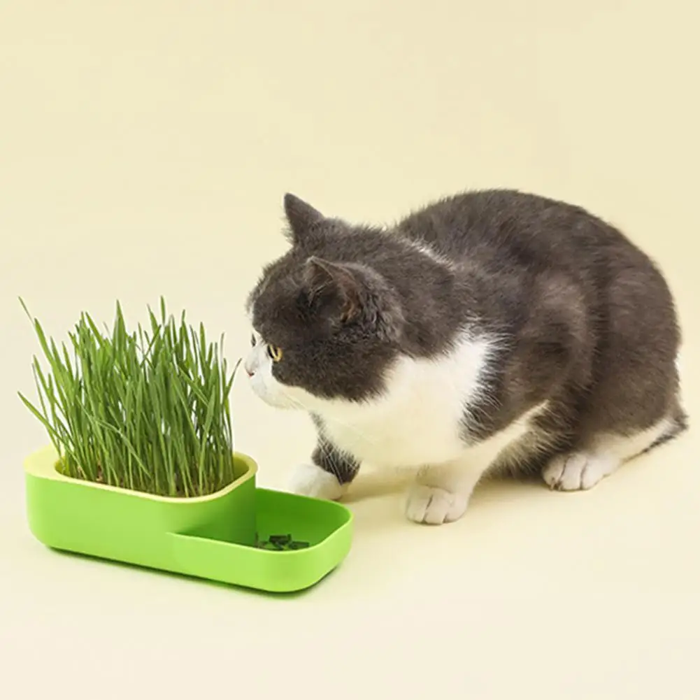 Two-in-one Cat Grass Box Simple Practical Cat Grass Box Scientific Double-layer Cat Grass Box Easy-to-use Home for Digestive