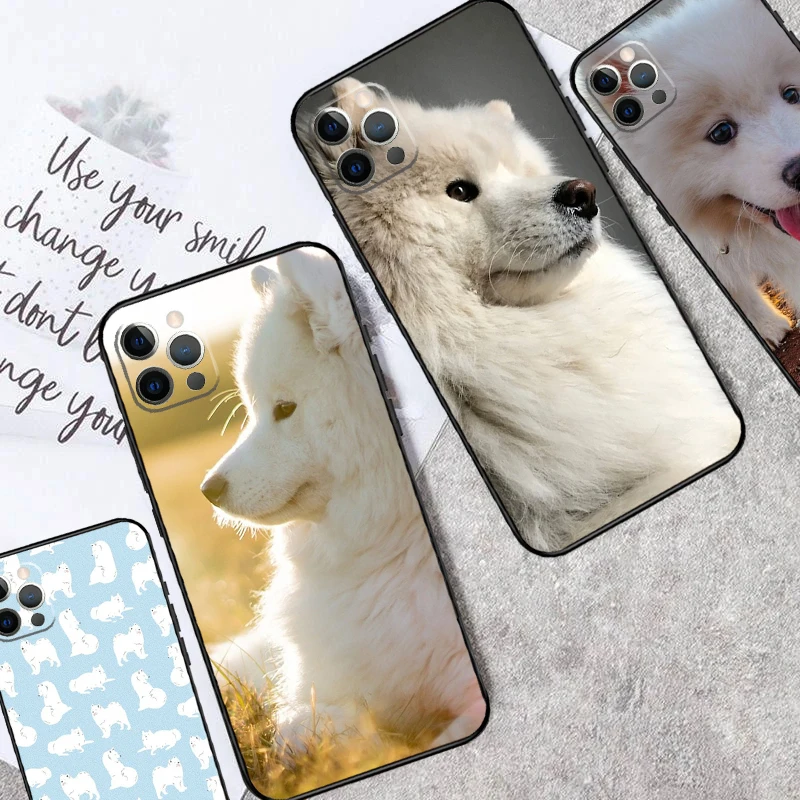 Samoyed Puppy Case …