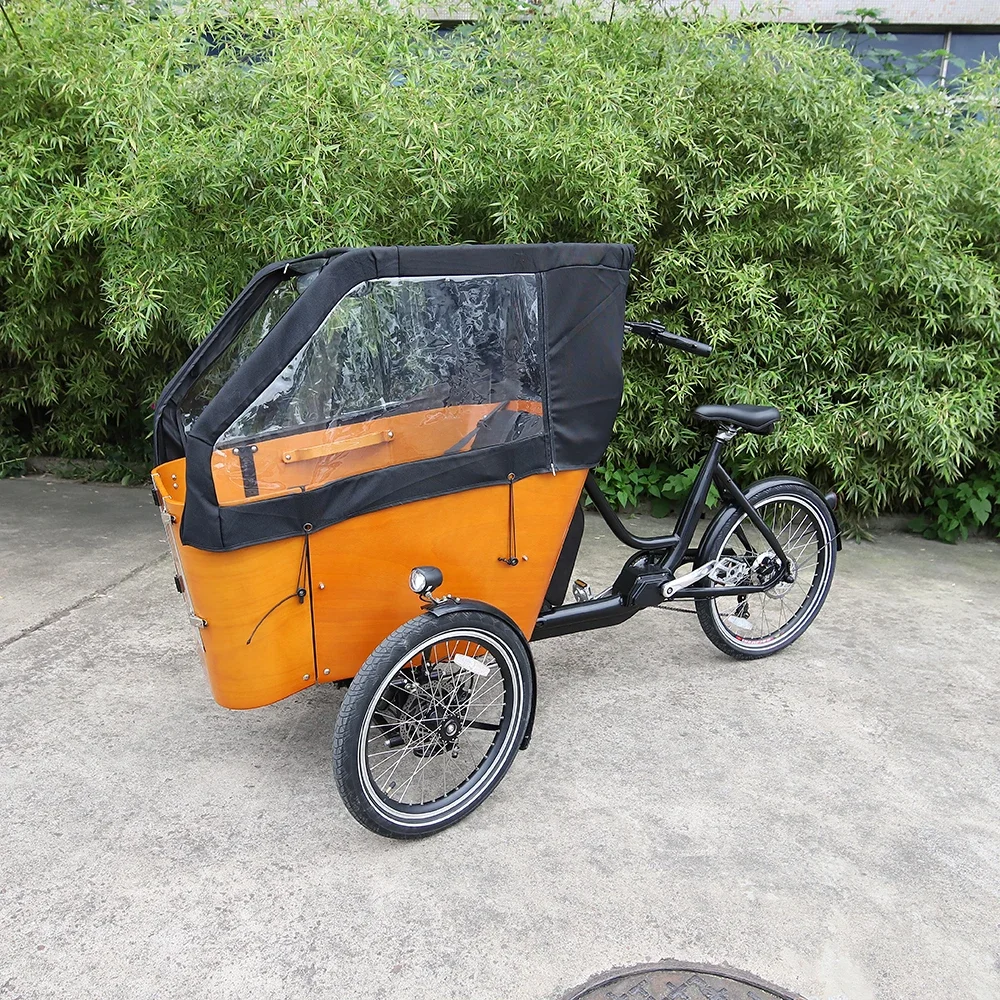 High quality electric tricycle 3 wheels cargo ebike 250w 500w family tricycle