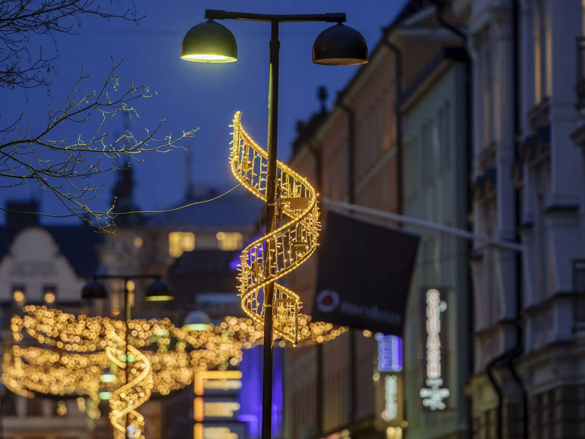 Decoração exterior luz, rua levou luz 2d