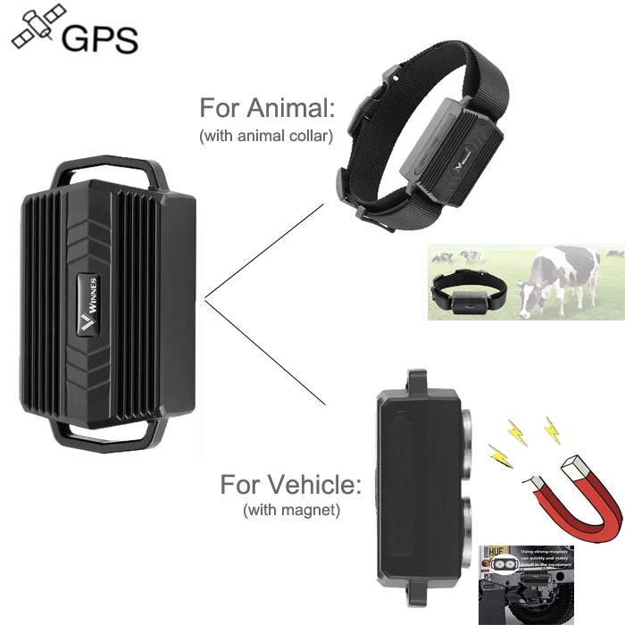 3000mah TK935 50days Standby Animal Collar TKSTAR Waterproof Cow Gps Tracker Collar Cows Trackers Free APP & PC Online Tracking
