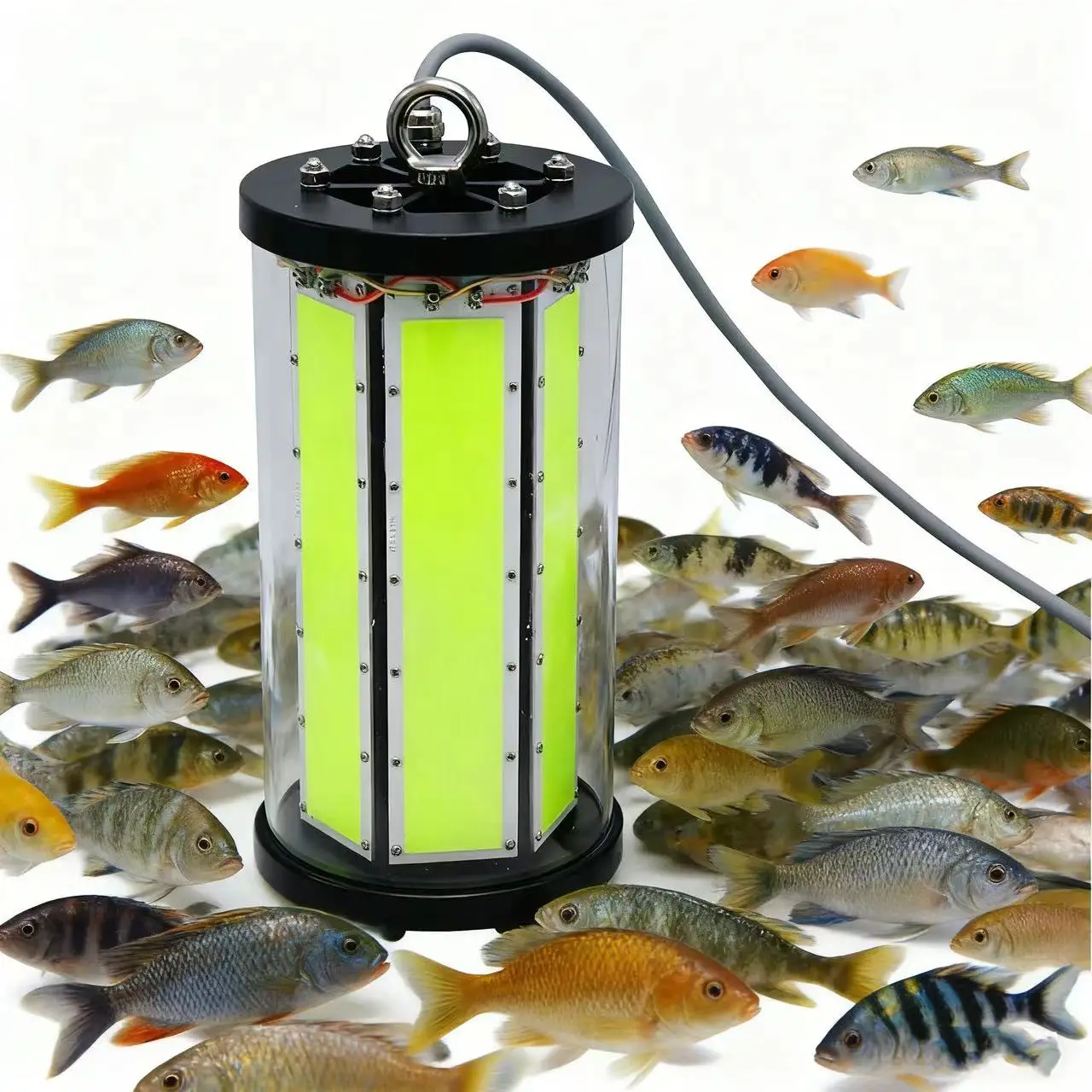 OEM ODM Factory Rechargeable 2500W Inline Fishing Light Solar Powered Portable Underwater Light For Fishing Boat Supplies