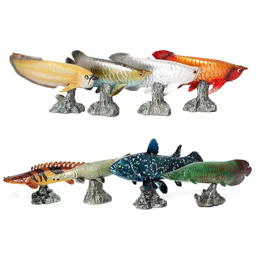 Arowana Pirarucu Coelacanth Bichir Alligator fish Model Marine Animal Action Figures Collectible Toys for Kids Educational Gifts