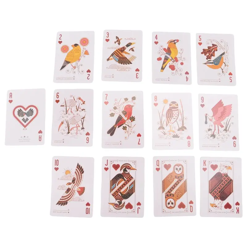 Baraja De Cartas Con Temática De Aves – 54 Cartas Con Especies Únicas, Para Jugar, Coleccionar Y Regalar