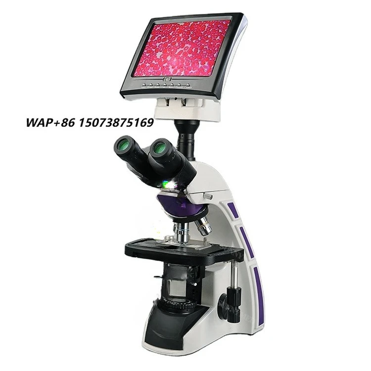 SY-B129T Guangzhou Medical Optical Unit Lab Biological Microscope with LCD Screen Infinity Plan Achromatic Objective