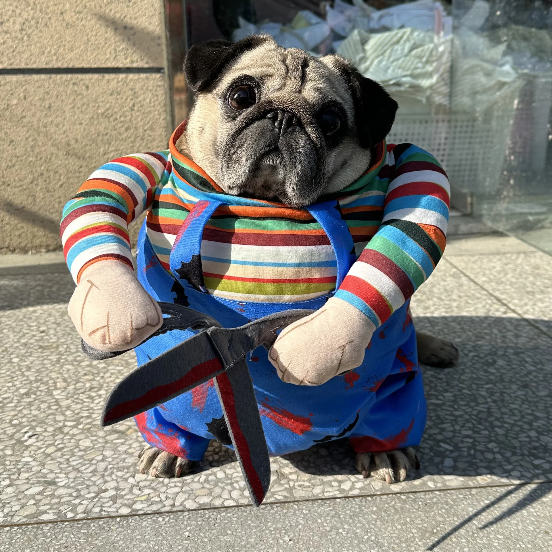 Funny transformation outfit with scissors standing transformation outfit for dog cat Halloween pet clothes