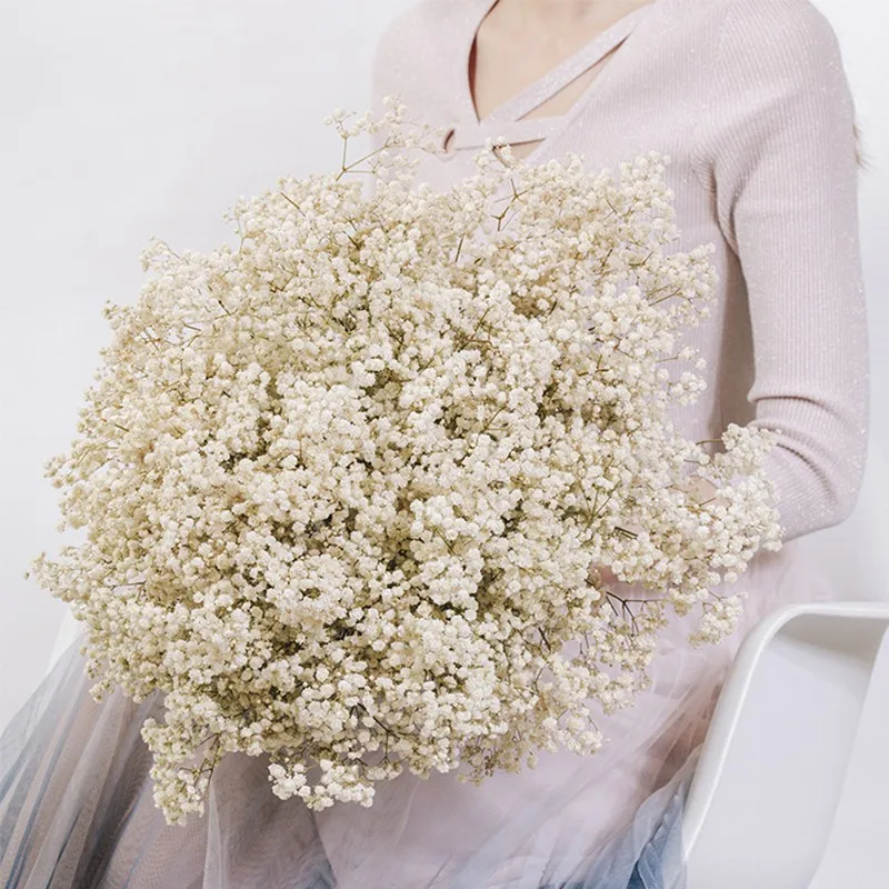 

2000+ Heads Babies Breath Dried Flowers Natural Fresh Dry Preserved Gypsophila DIY Floral Bouquet Arrangement Wedding Home Decor