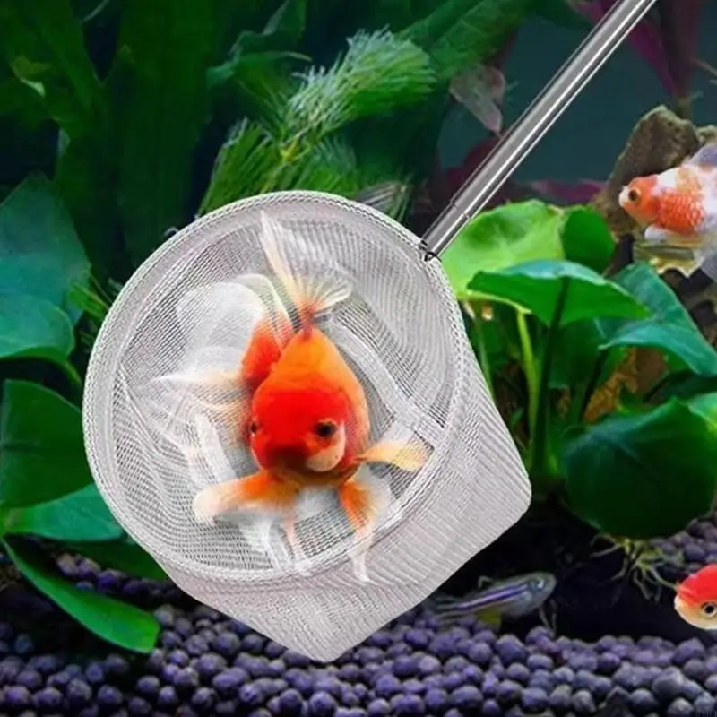 

Retractable Fishing Net With Fine Mesh For Freshwater And Saltwater Applications Large Aquariums Fish Landing Net