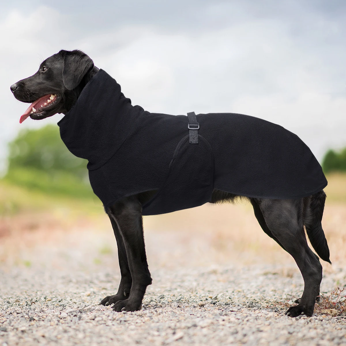 Warmer Hundemantel mit hohem Kragen und verstellbarem Riemen, weiche, thermische, winddichte Winter-Hundejacke, dehnbares, bequemes Haustier-Outfit für L