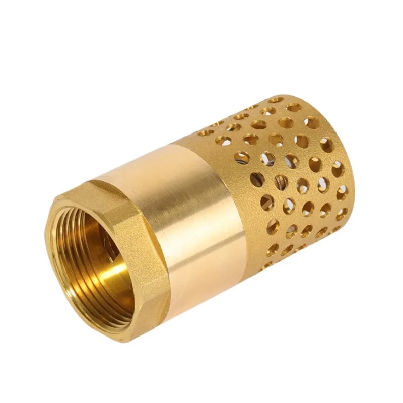 DN100 BSP Female Brass Check Valve Non-return All Copper Strainer Filter 4