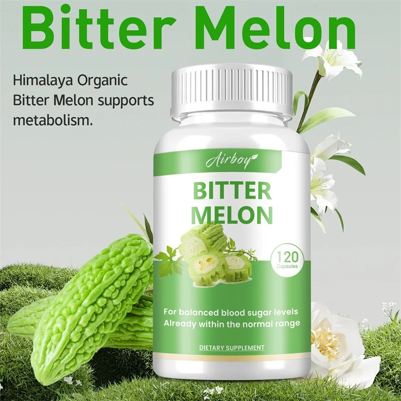 Melon Amer-Brûle les Graisses, Stimule le Mardi olisme, la Digestion et la Santé Cardiaque