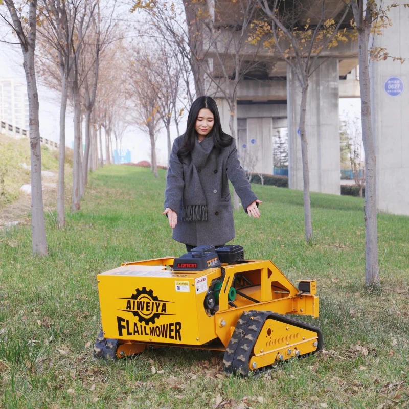 Customizable Robot … - image